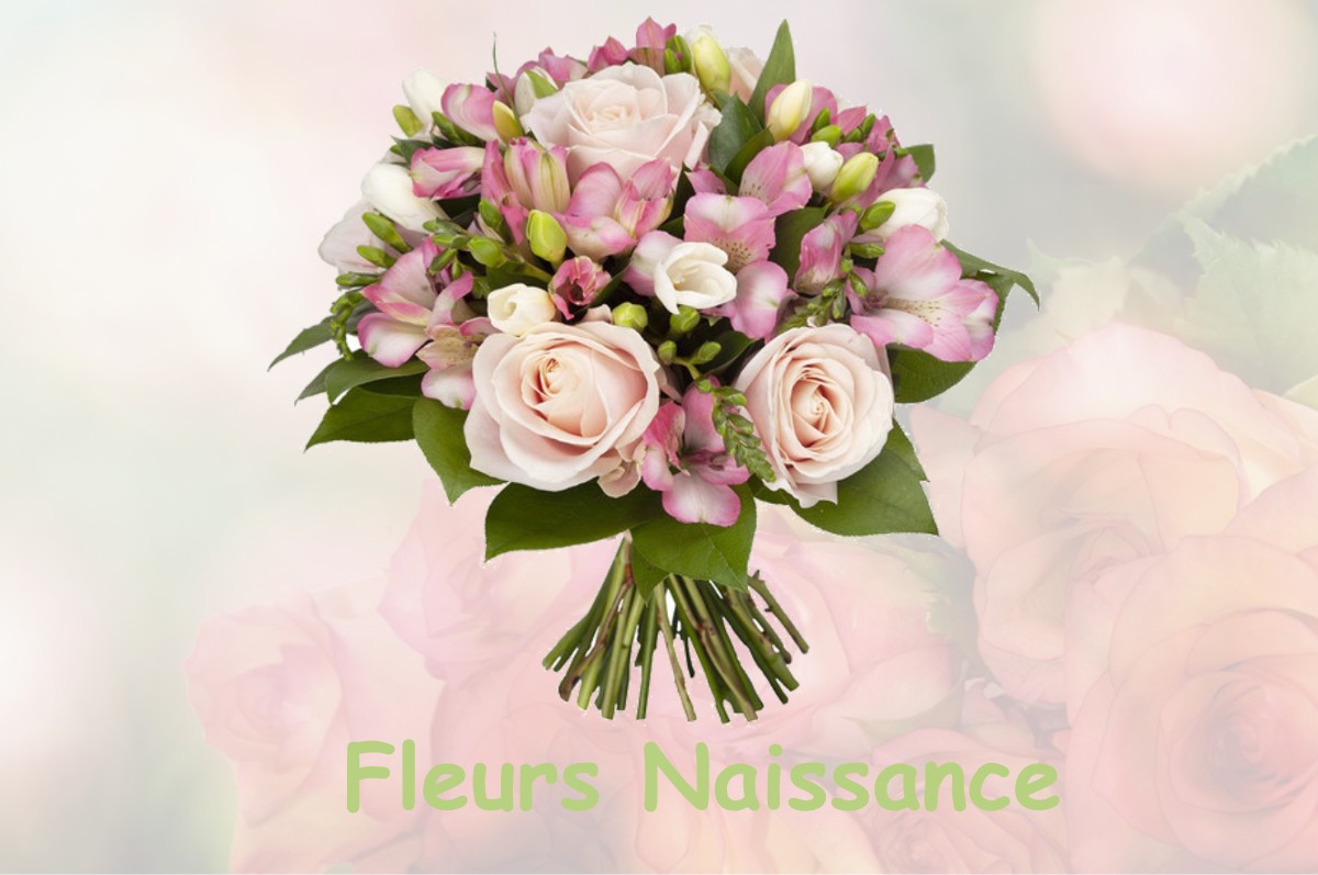 fleurs naissance ALAINCOURT-LA-COTE